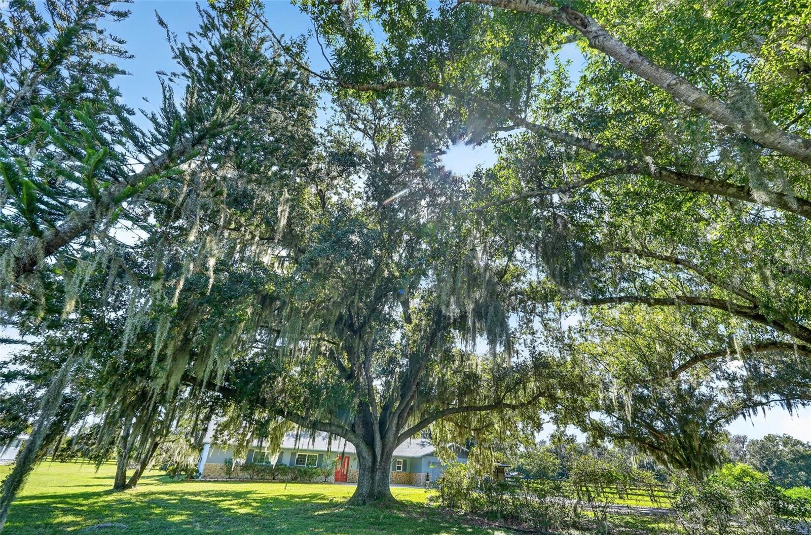 37550 CLAY GULLY ROAD, Myakka City, FL 34251