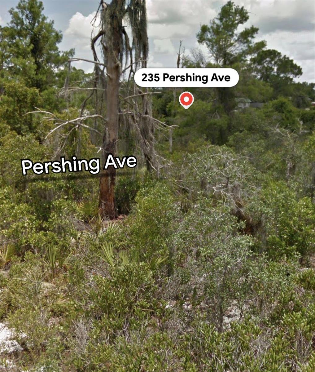 235 PERSHING AVENUE, Lake Placid, FL 33852