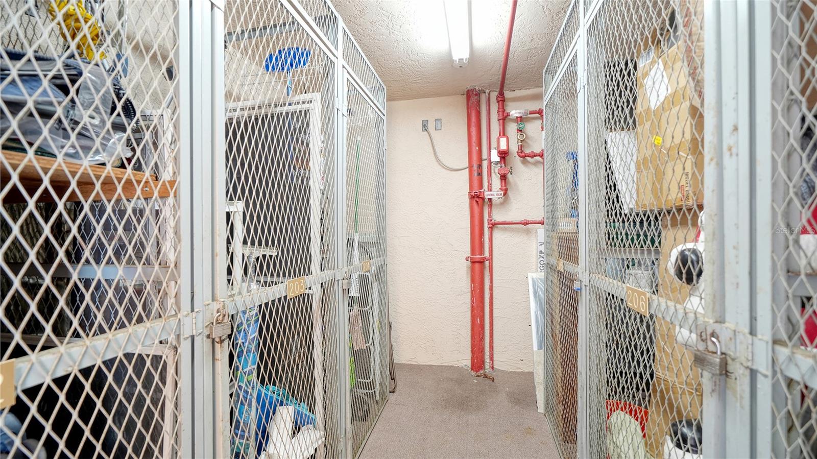 Storage Unit for Unit 203