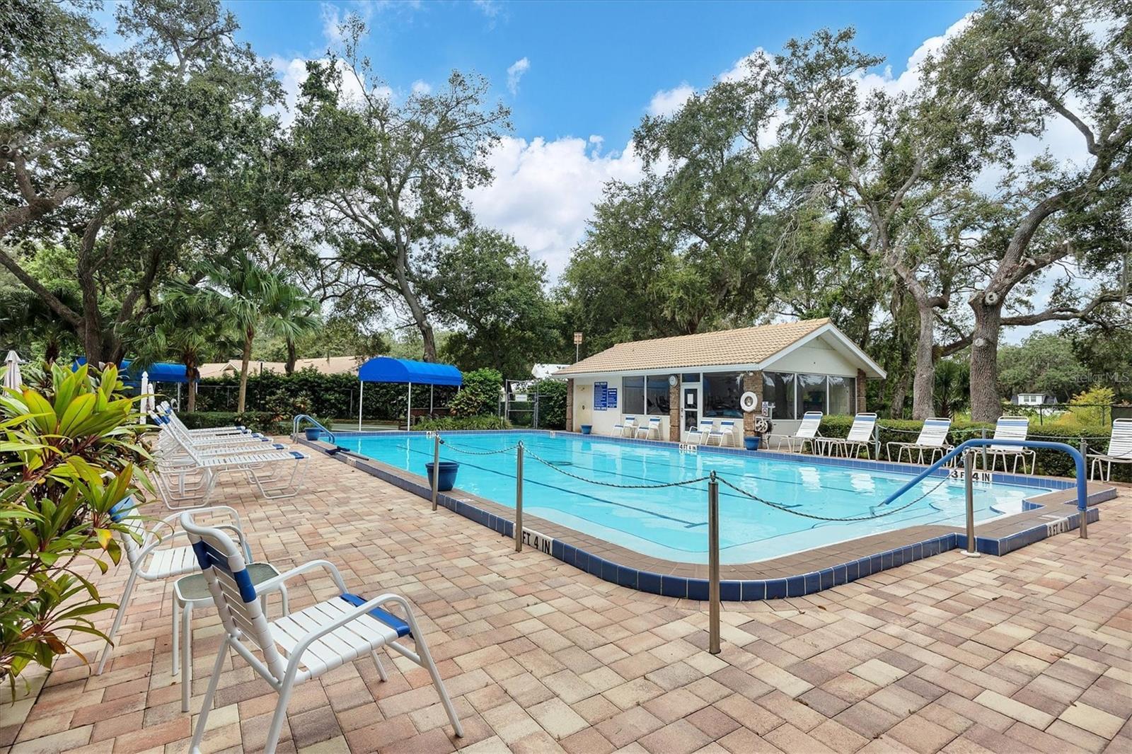 Heated pool