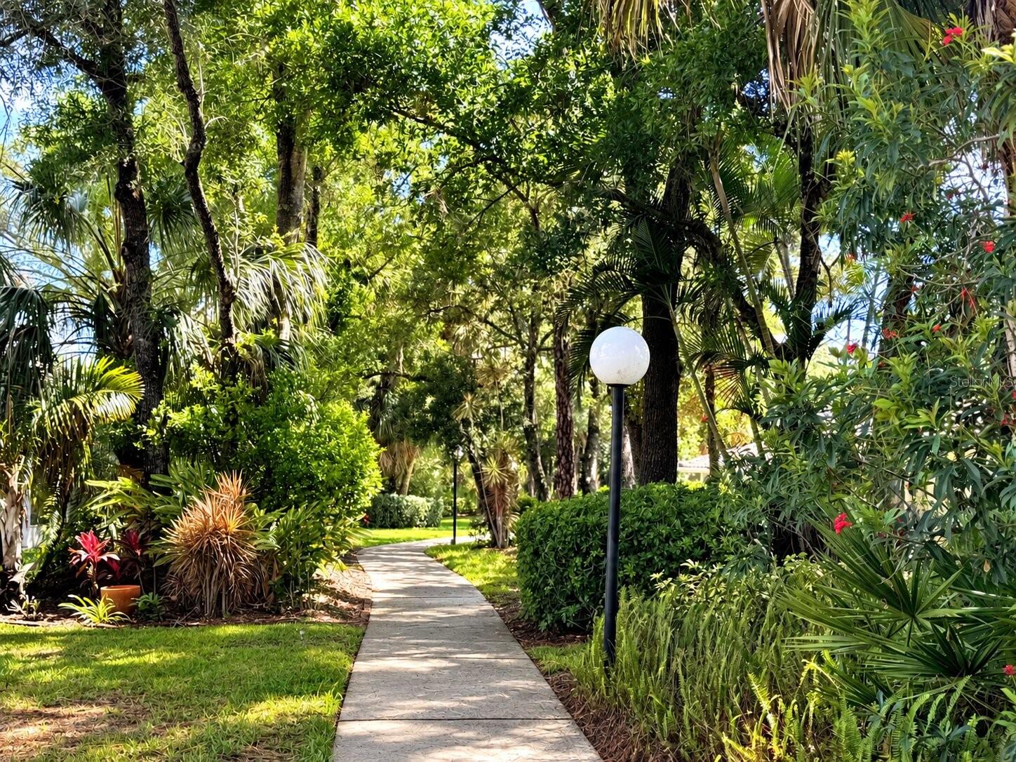 Walk to your heart's content beneath the towering oaks