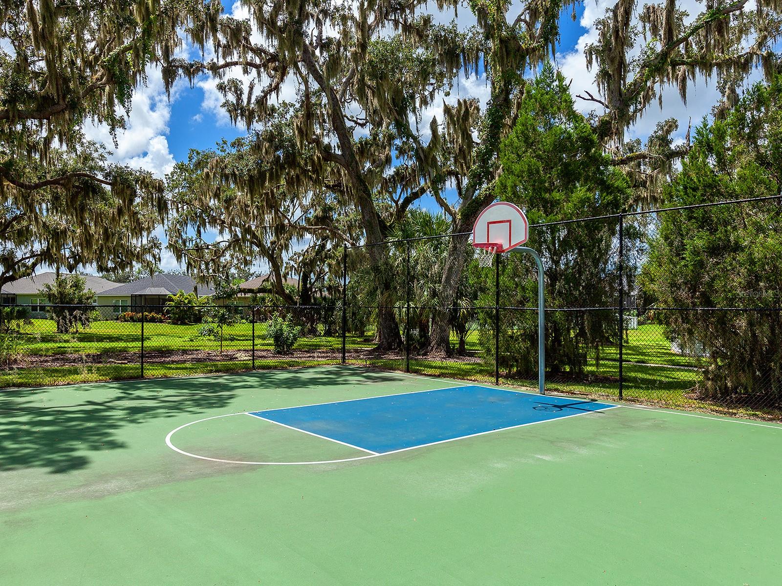10727 CROOKED CREEK COURT, Parrish, FL 34219