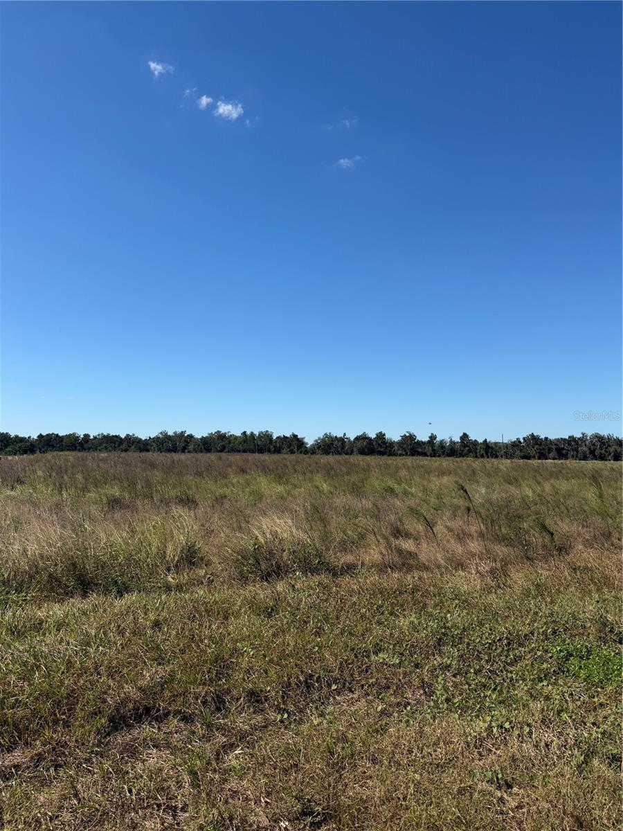 HIMROD ROAD, Bowling Green, FL 33834