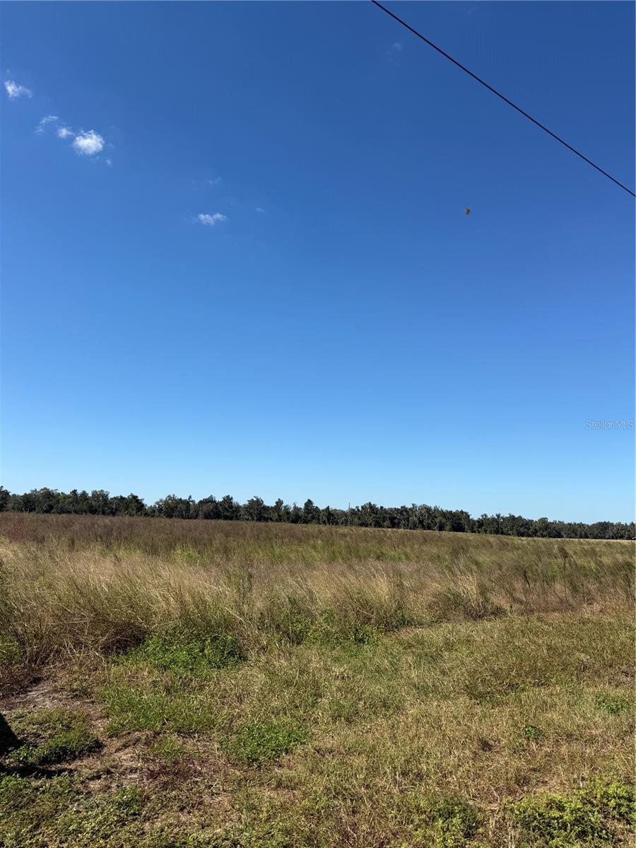 HIMROD ROAD, Bowling Green, FL 33834