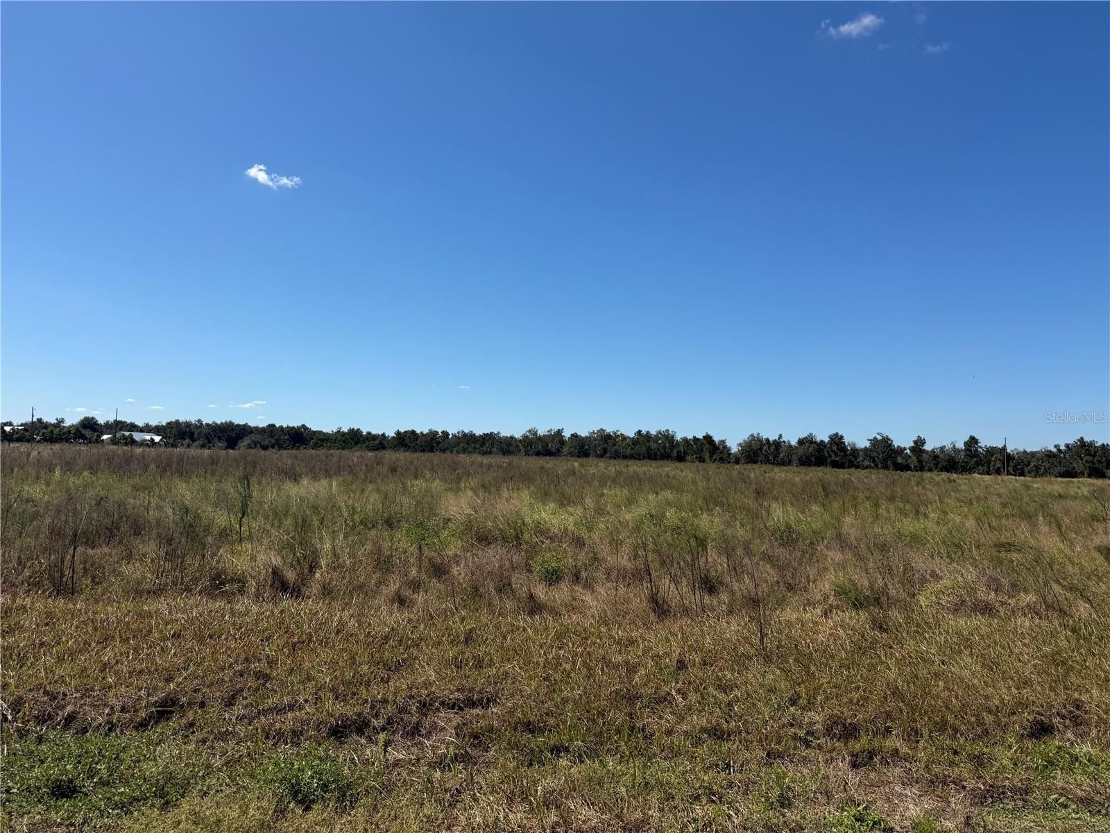 Looking at the property from Himrod Rd.