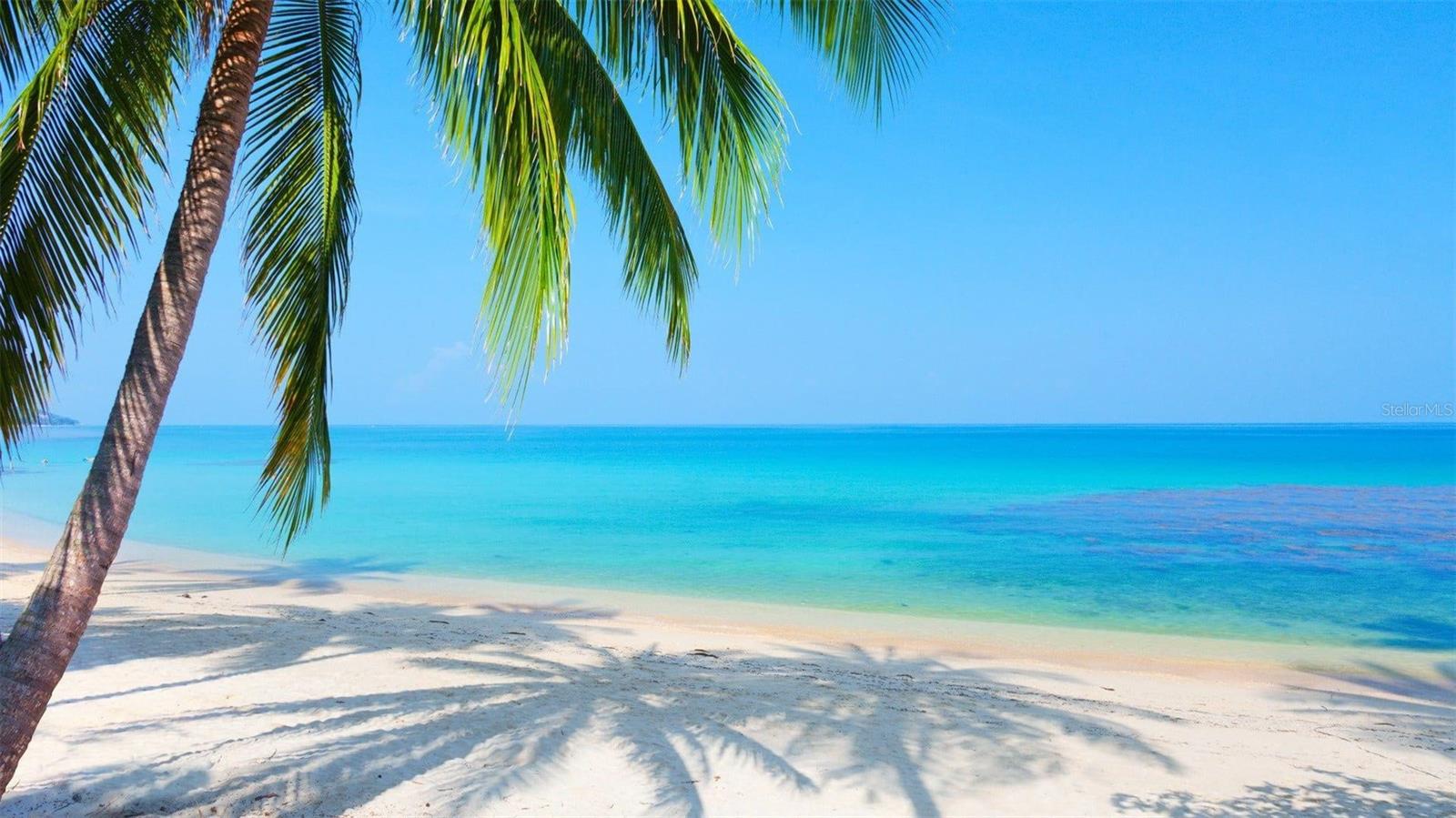 Beaches like no other