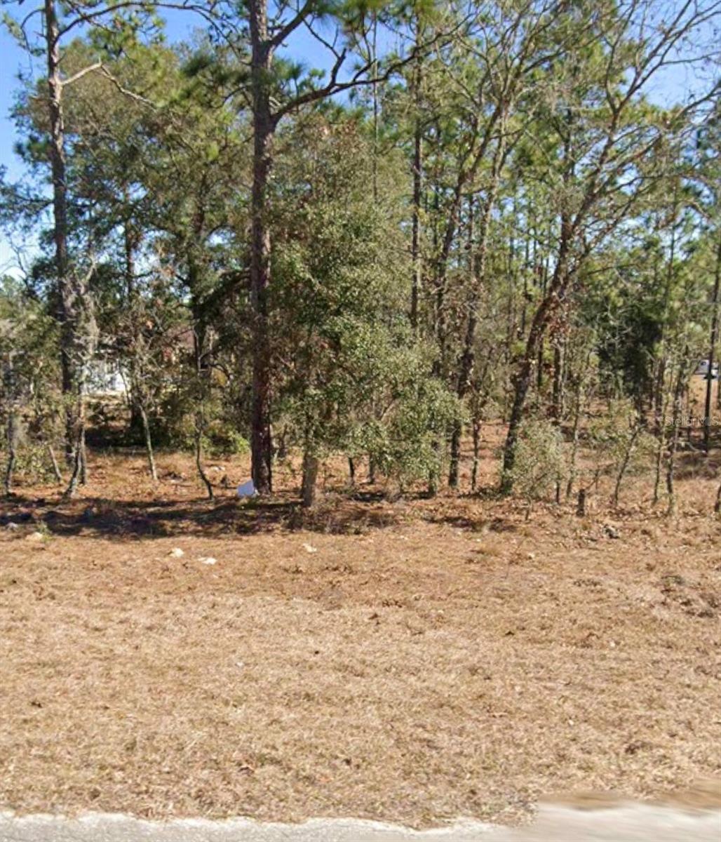 NE 150TH AVENUE, Williston, FL 32696