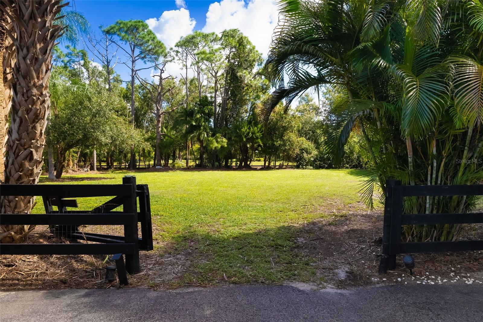 Another view of the property's expansive open acreage, offering flexibility for vehicle storage, recreational space, horses or a future accessory building, subject to applicable approvals.