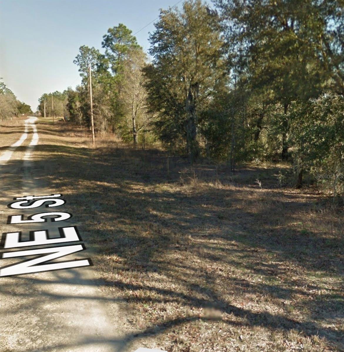 NE 5TH STREET, Williston, FL 32696