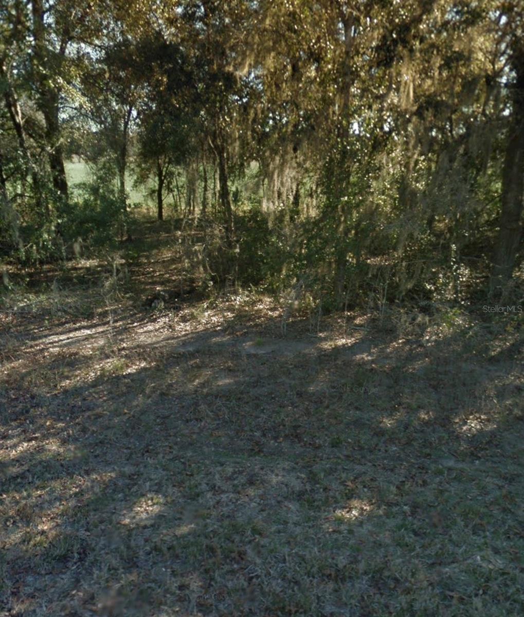 NE 5TH STREET, Williston, FL 32696