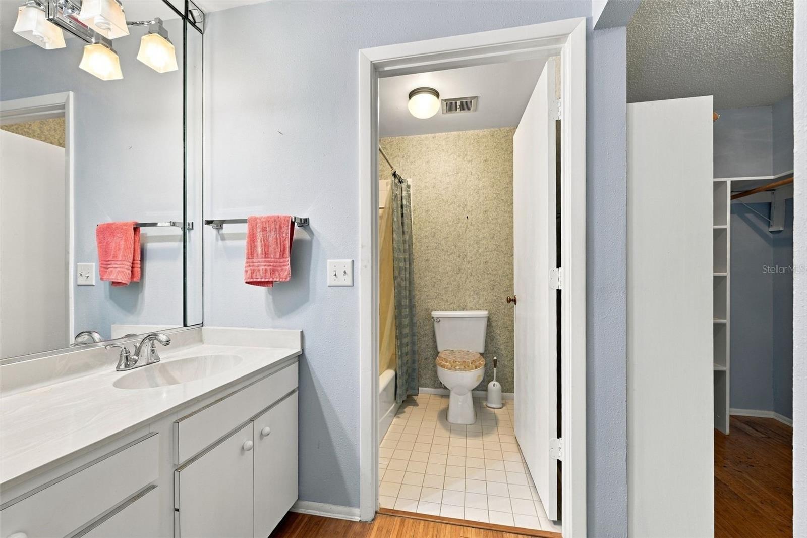 Master vanity area