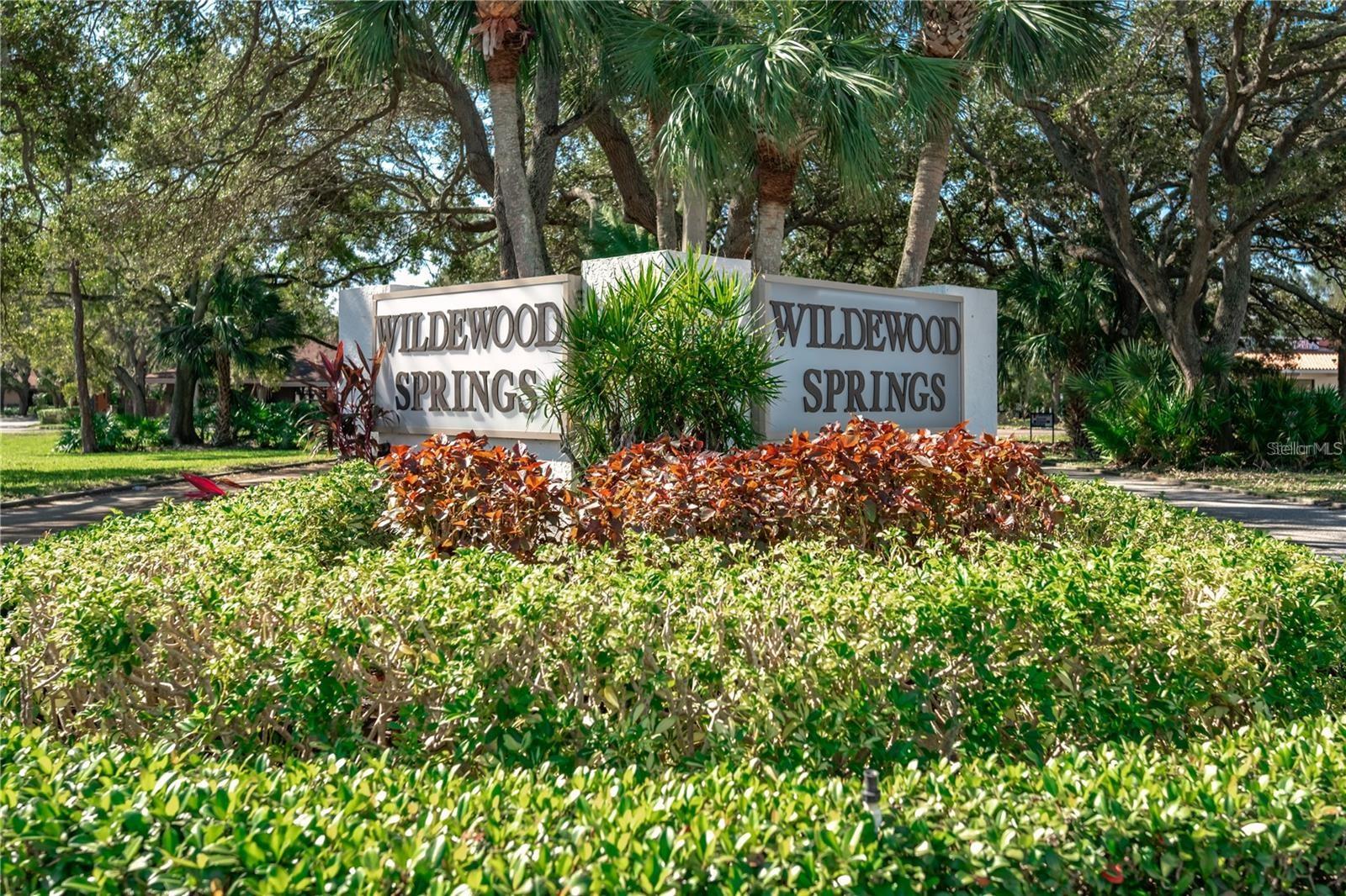 Entrance into Wildewood Springs
