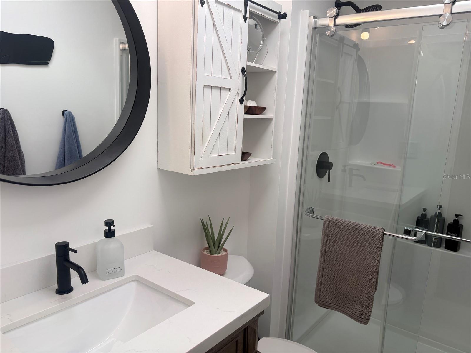 Guest Bathroom Tub Converted to Shower