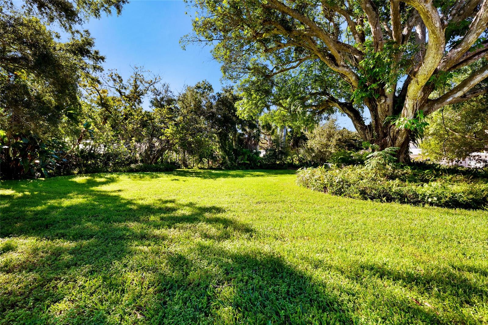 Separate Lot that can be purchased
