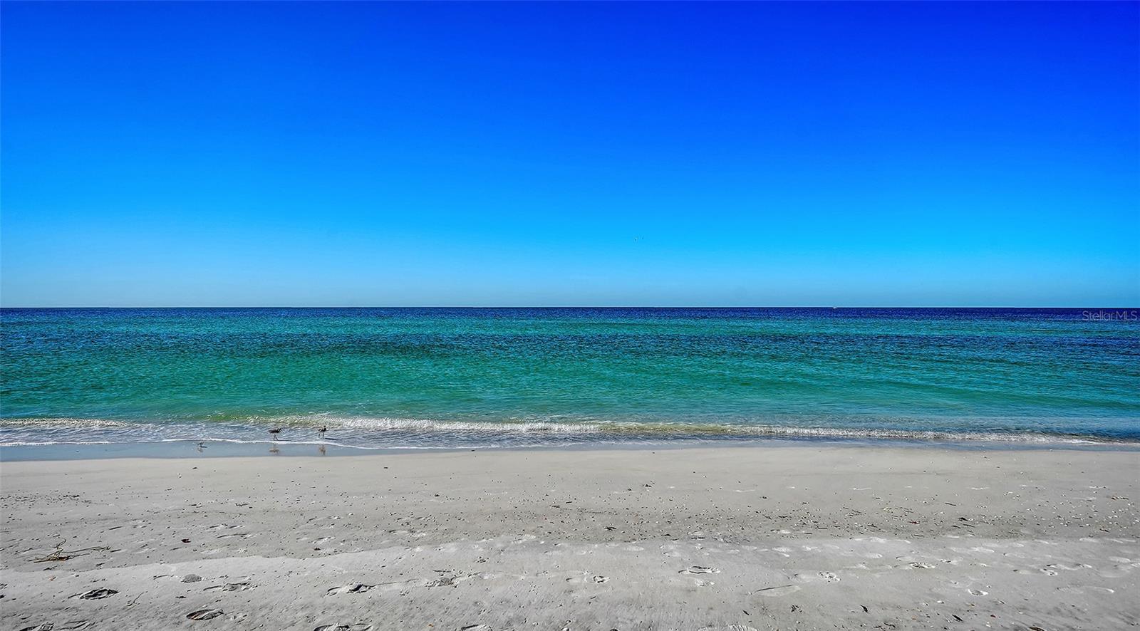 6061 GULF OF MEXICO DRIVE, Longboat Key, FL 34228
