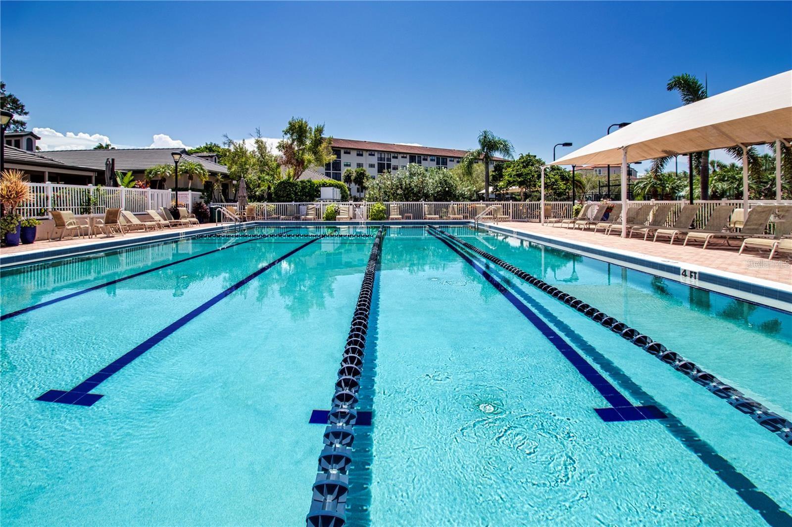 5273 HERON WAY, #202, Sarasota, FL 34231