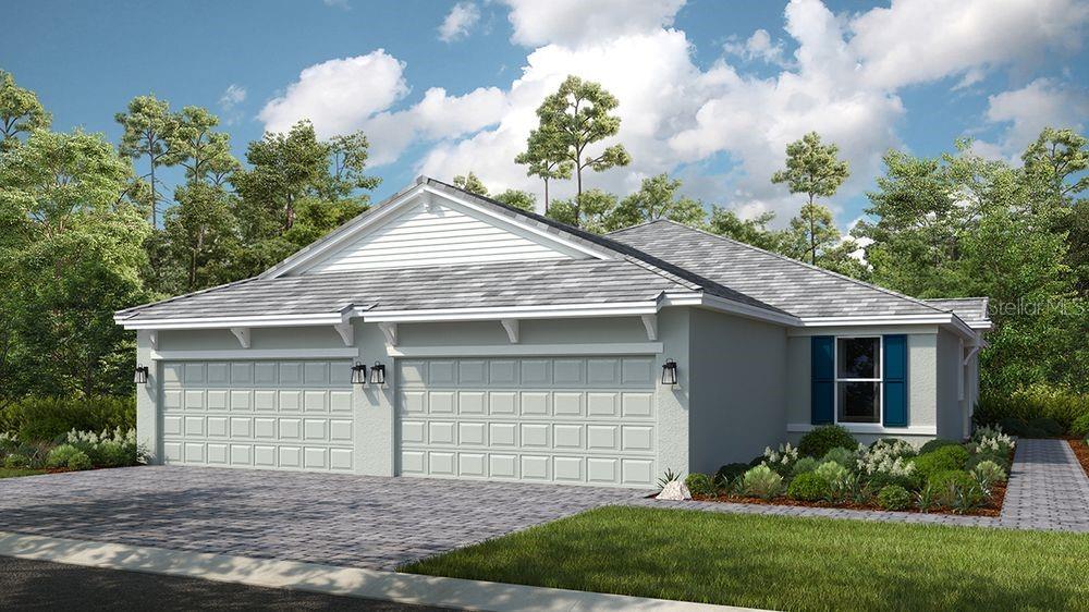 Ibis Rendering Ibis Rendering