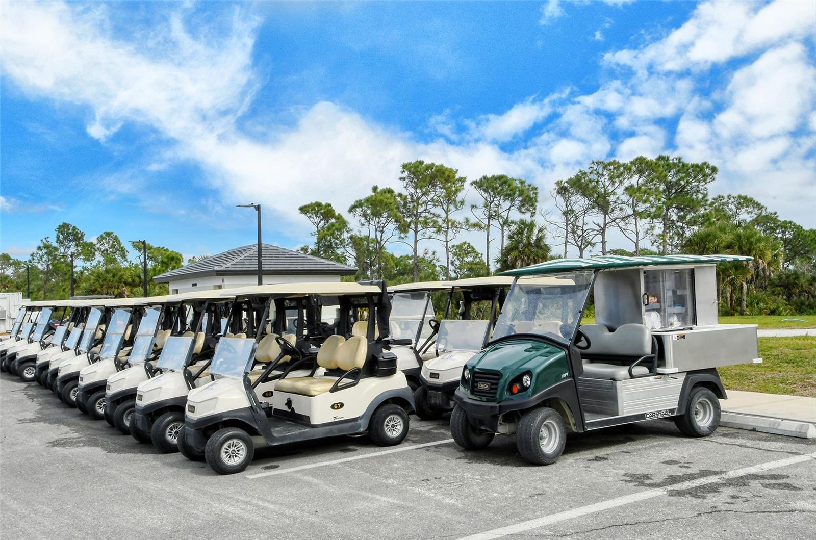 17625 OPAL SAND DRIVE, #203, Venice, FL 34293