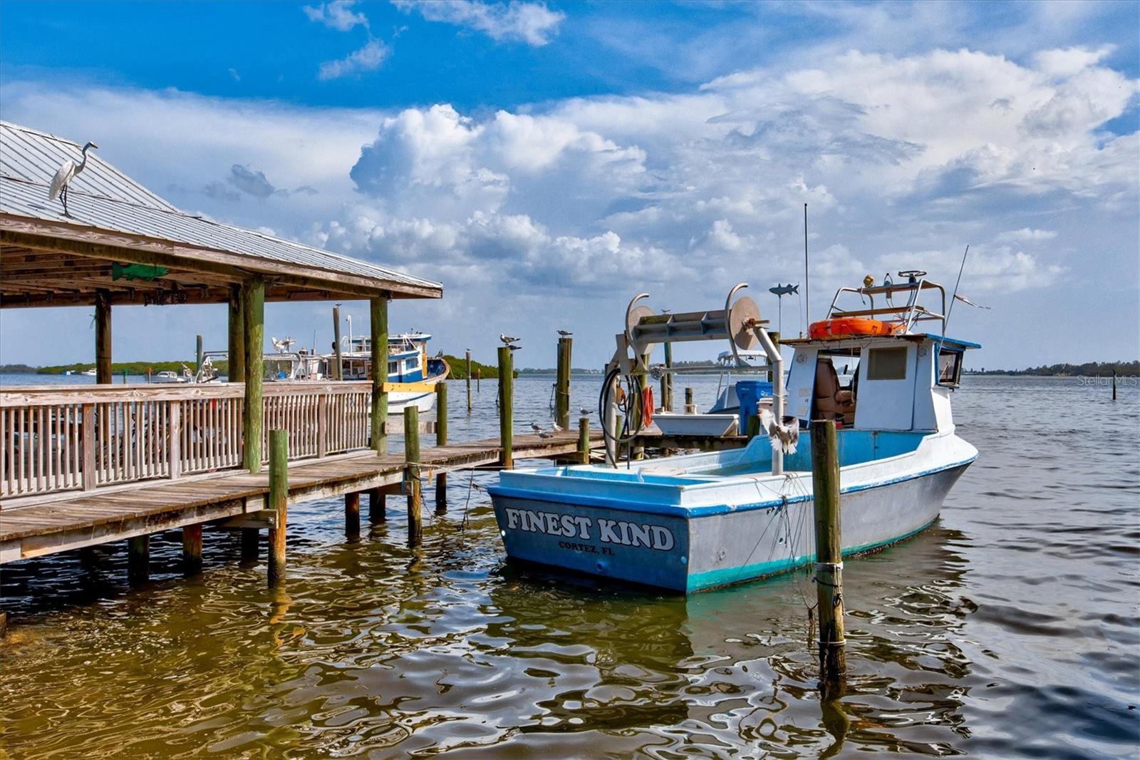 4918 OYSTER PEARL STREET, Bradenton, FL 34211