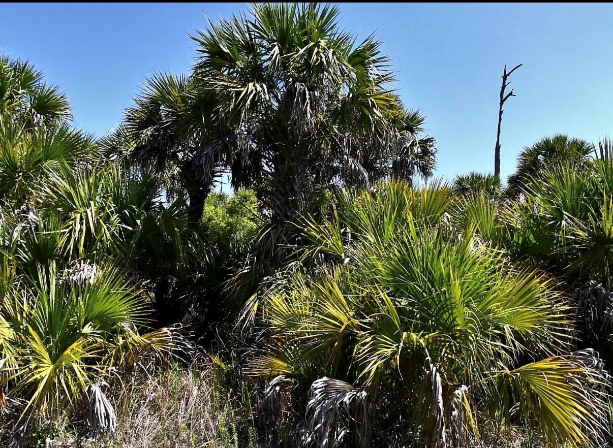 SNOWDRIFT TERRACE, North Port, FL 34288