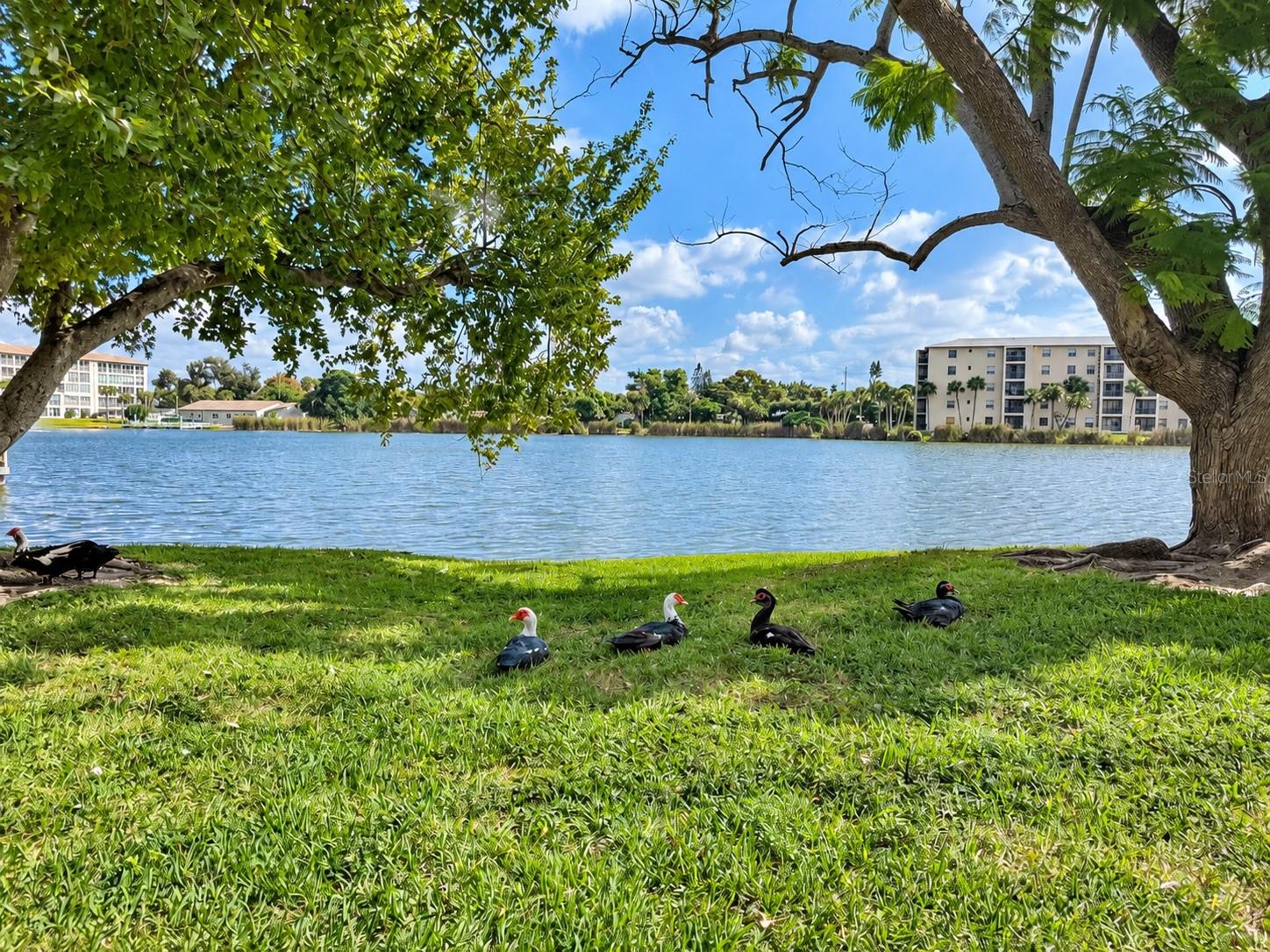 4113 LAKE BAYSHORE DRIVE, #C409, Bradenton, FL 34205