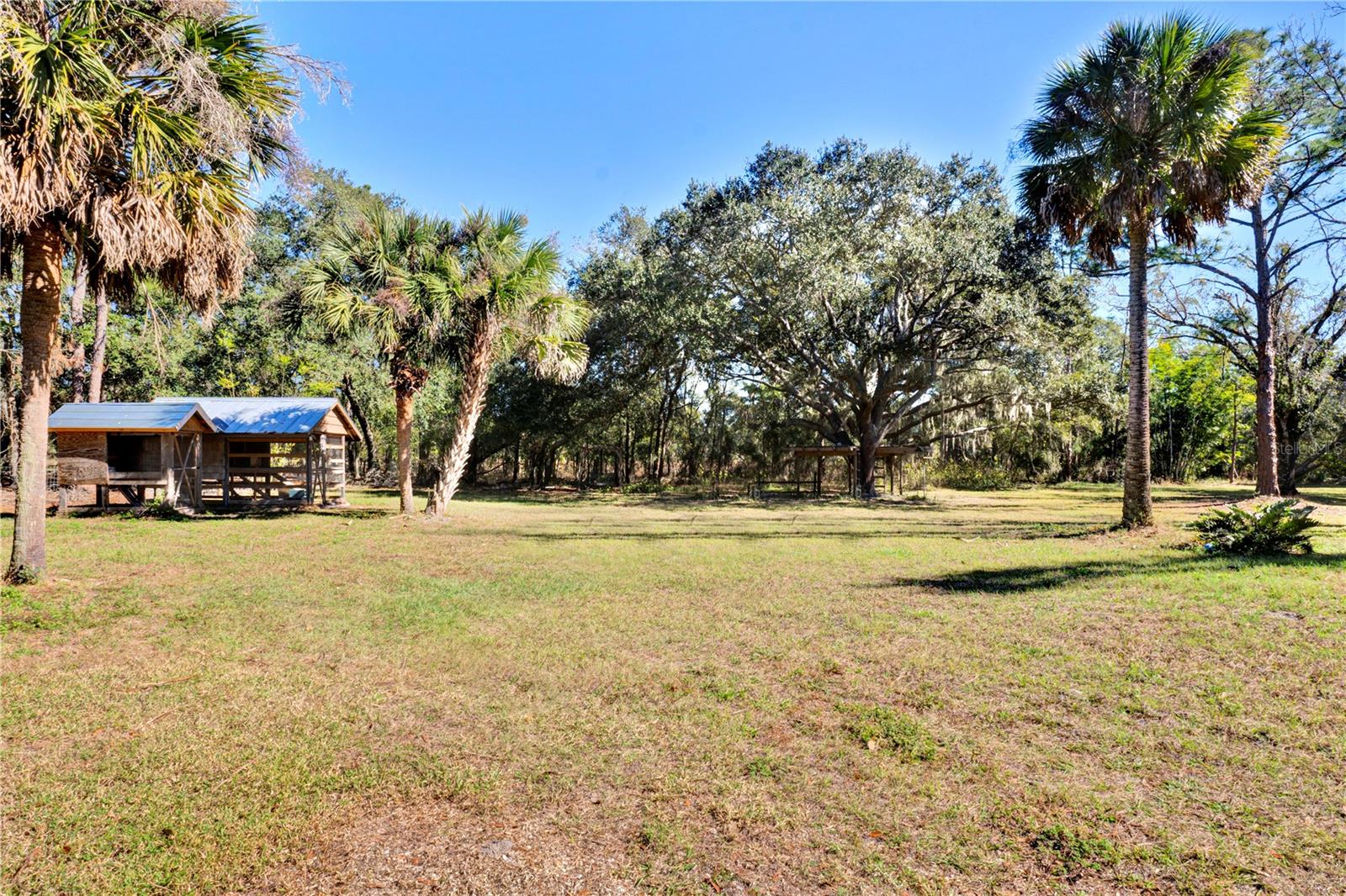 Back Of Property