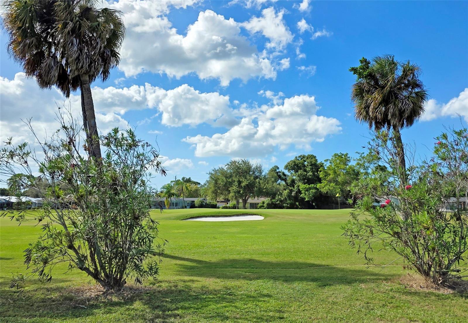 Yard and Golf Course views 4