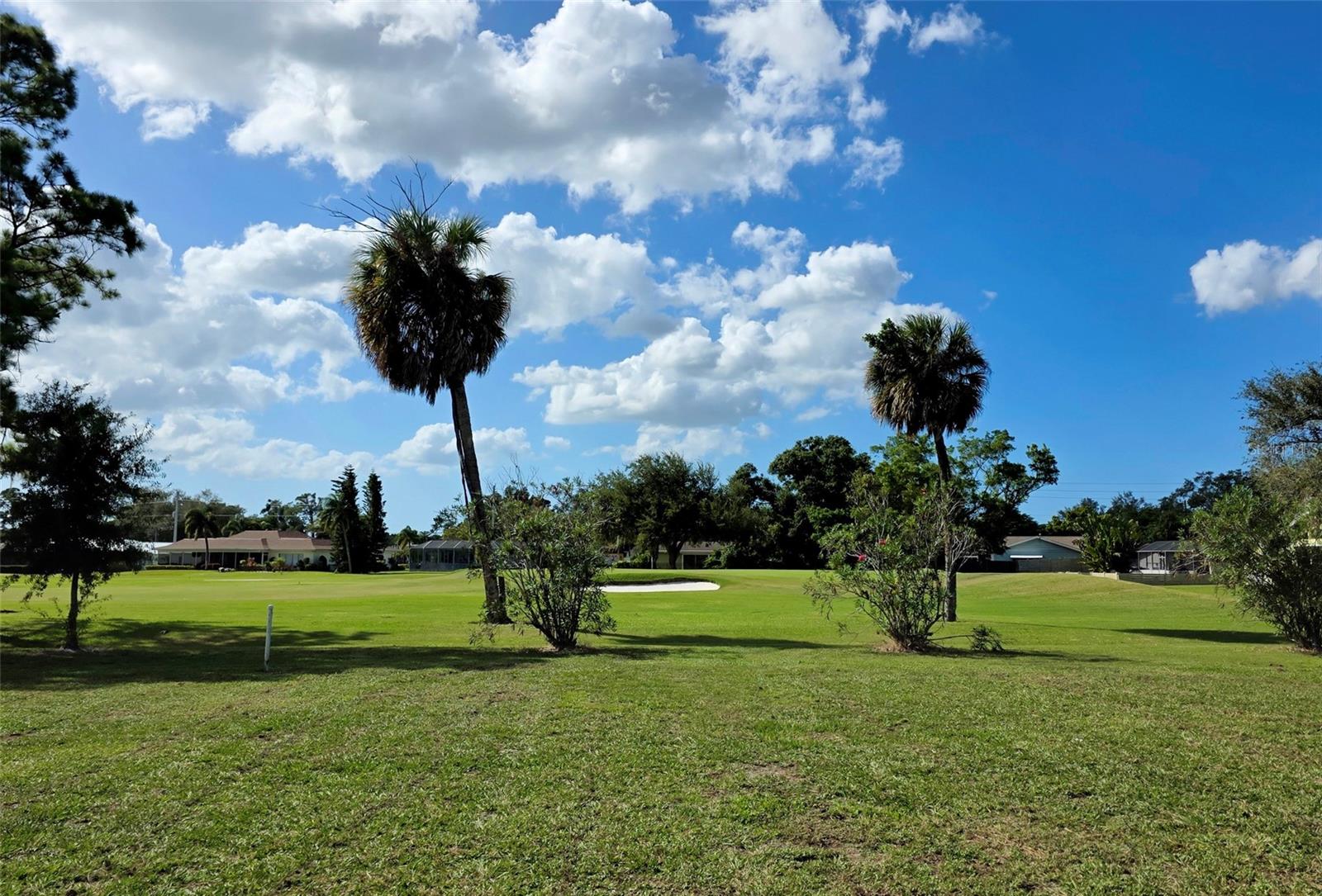 Yard and Golf Course views 3