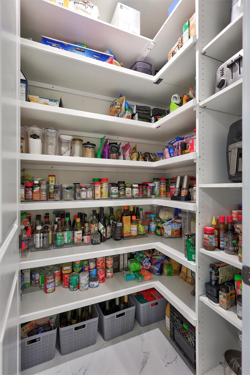 Pantry with extensive shelving