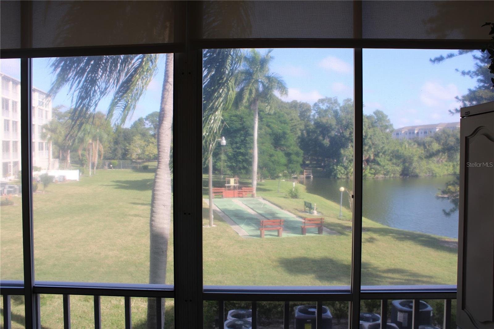 Florida room view