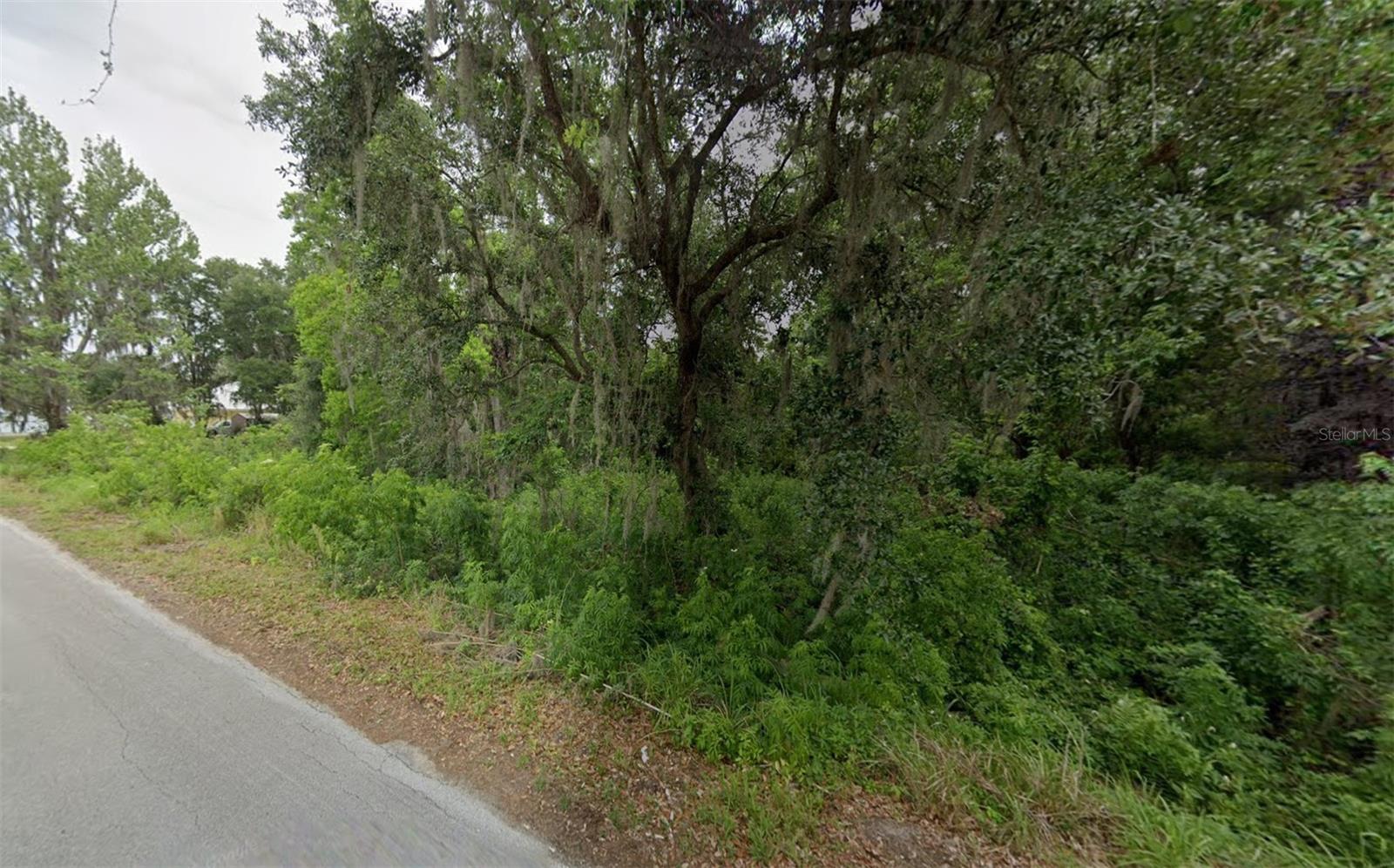 8340 LAKESHORE DRIVE, Yalaha, FL 34797 8340 LAKESHORE DRIVE, Yalaha, FL 34797