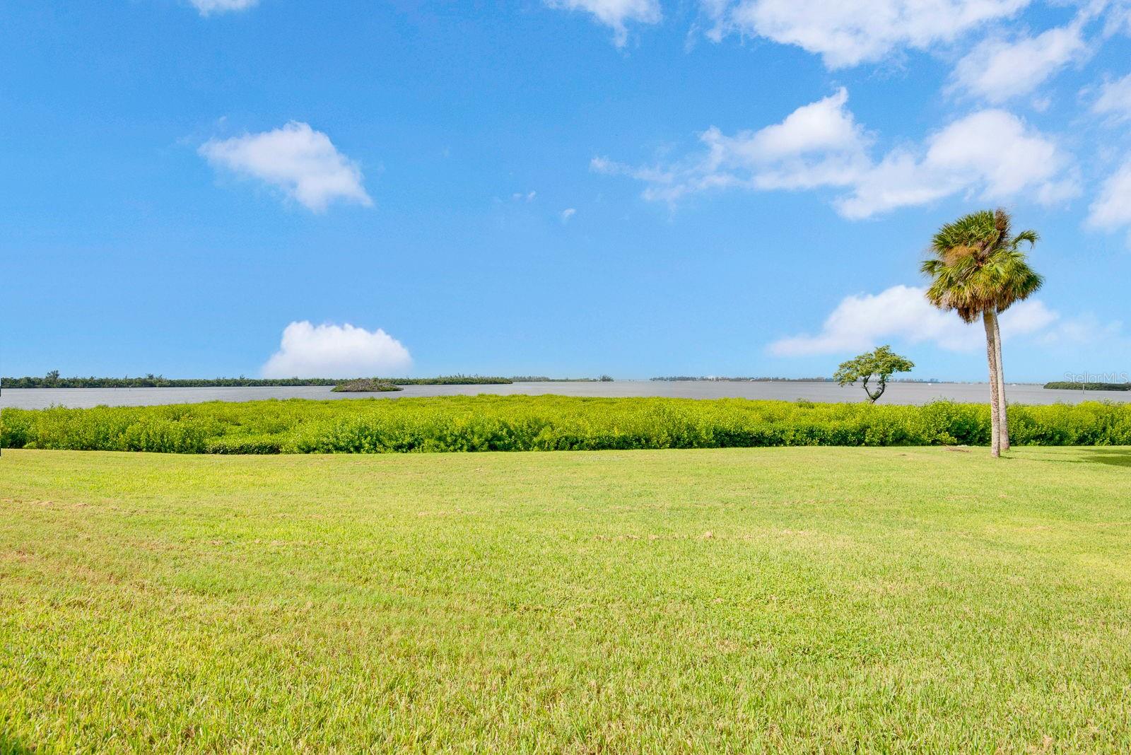 Sunshine, green grass and water view by the bay