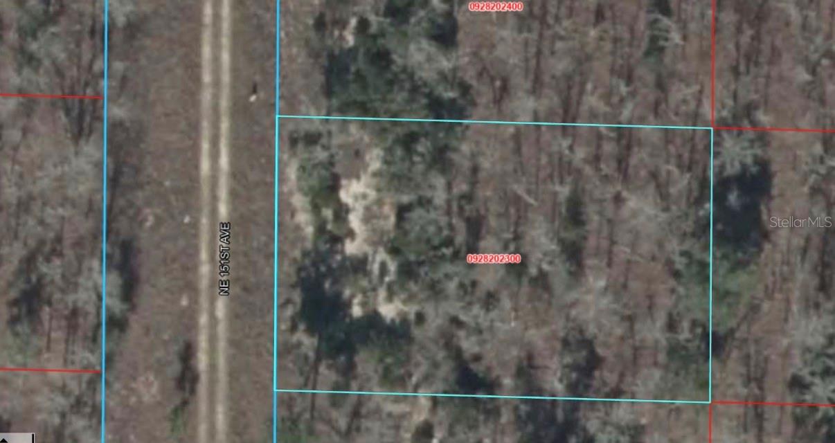 NE 151 AVENUE, Williston, FL 32696 NE 151 AVENUE, Williston, FL 32696