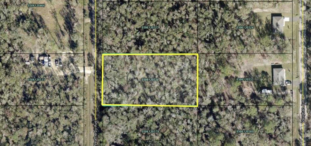 10150 WEATHERBY AVENUE, Hastings, FL 32145