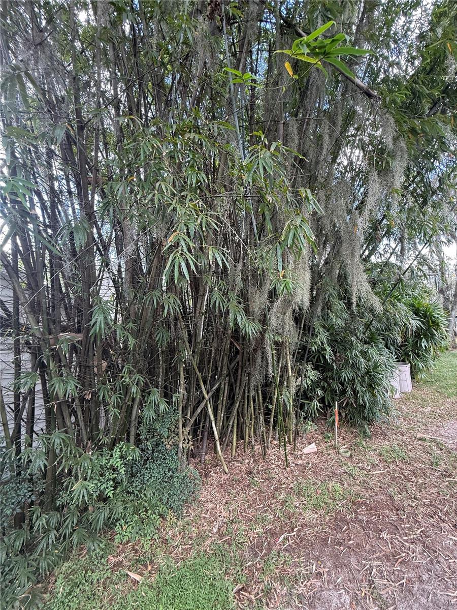 6926 ODONIEL LOOP W, Lakeland, FL 33809