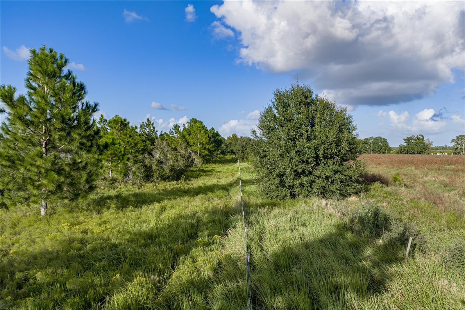 837 CAMPBELL ROAD, Fort Meade, FL 33841