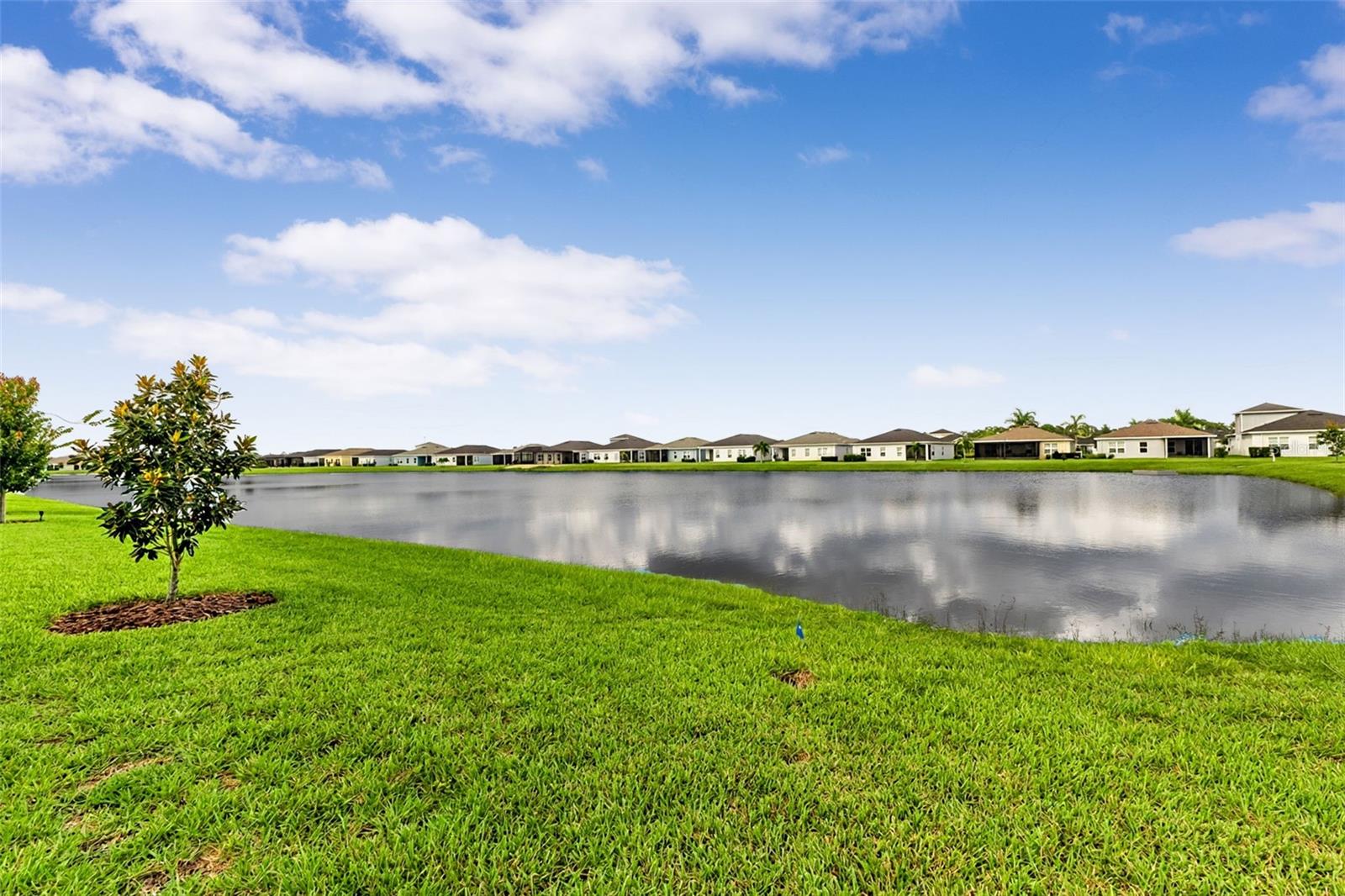 pond view