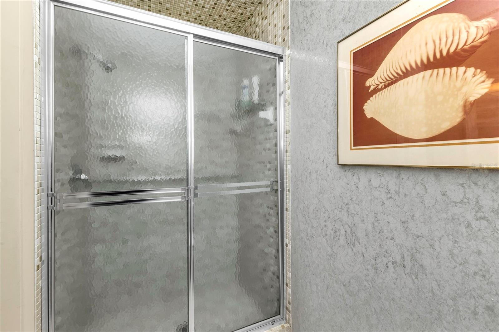 Primary bathroom with shower only