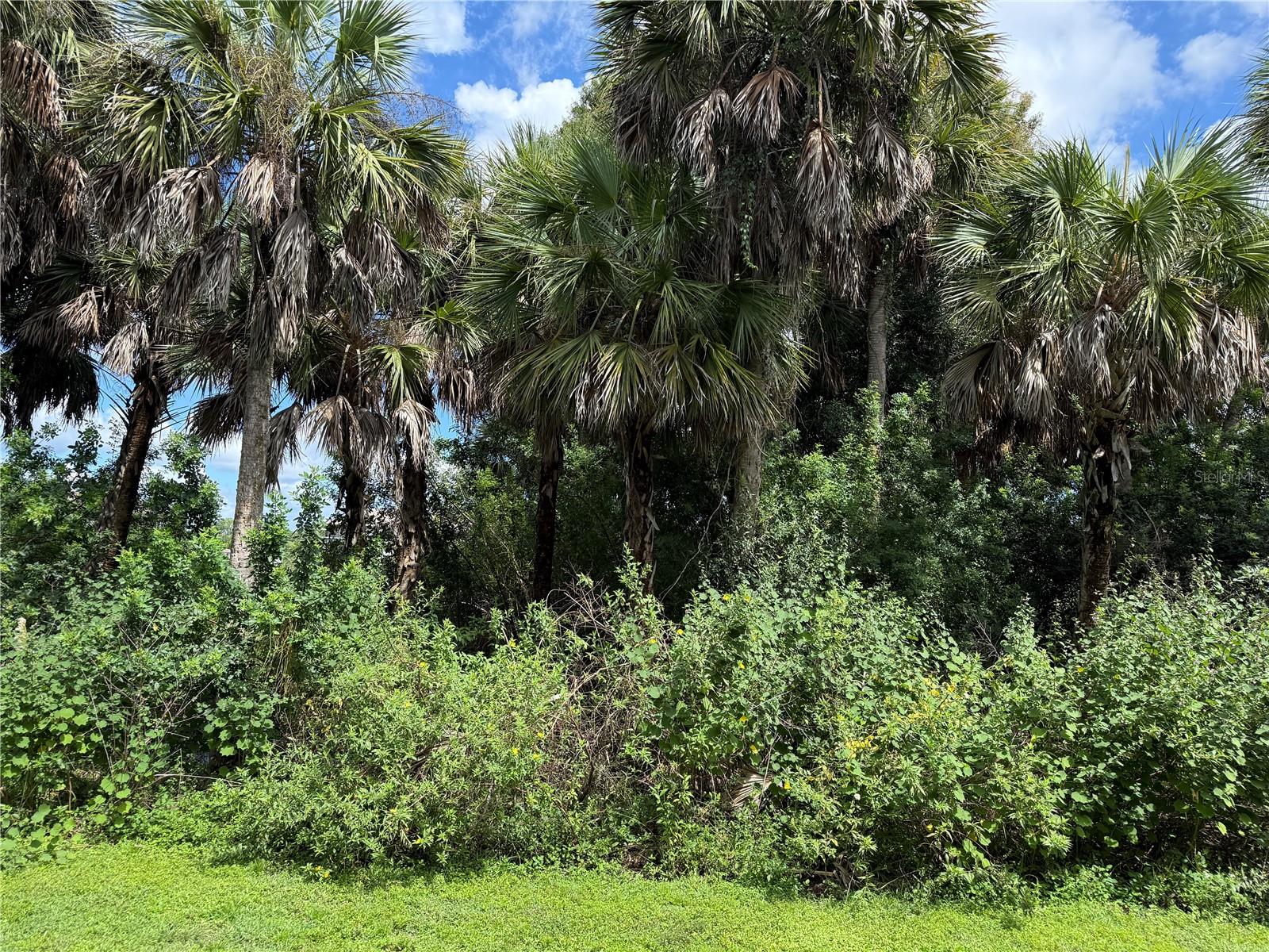 175 KINGS HIGHWAY, A6 (aka #416), Punta Gorda, FL 33983