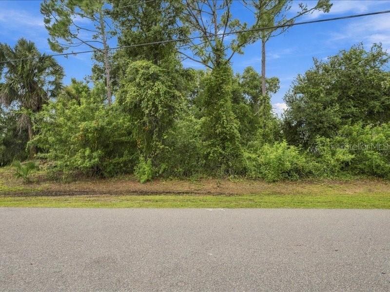 393 MALPELO AVENUE, Punta Gorda, FL 33983