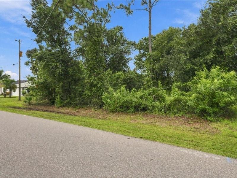 393 MALPELO AVENUE, Punta Gorda, FL 33983