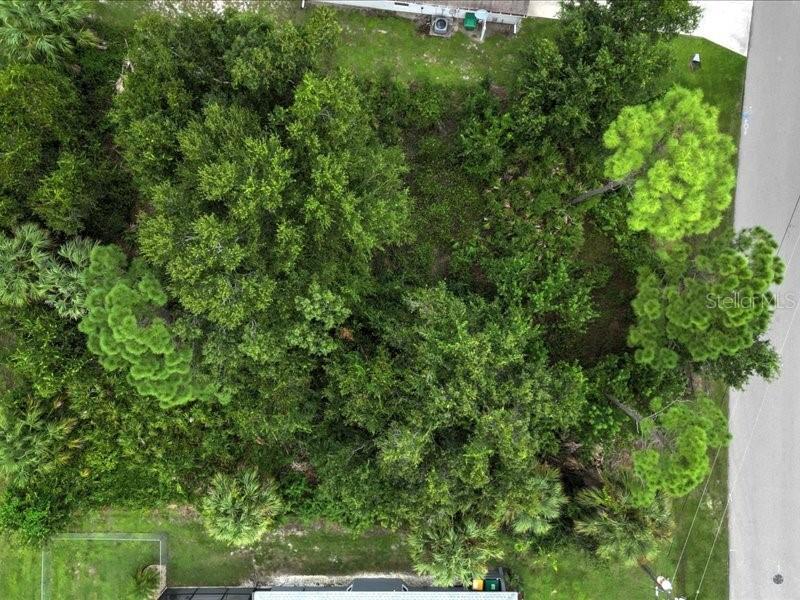 393 MALPELO AVENUE, Punta Gorda, FL 33983