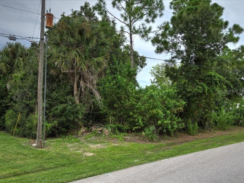 393 MALPELO AVENUE, Punta Gorda, FL 33983