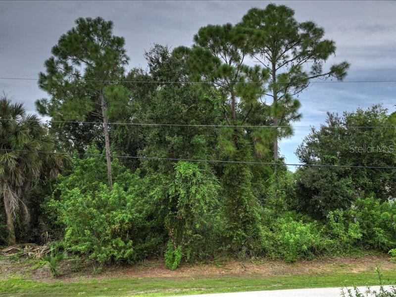 393 MALPELO AVENUE, Punta Gorda, FL 33983