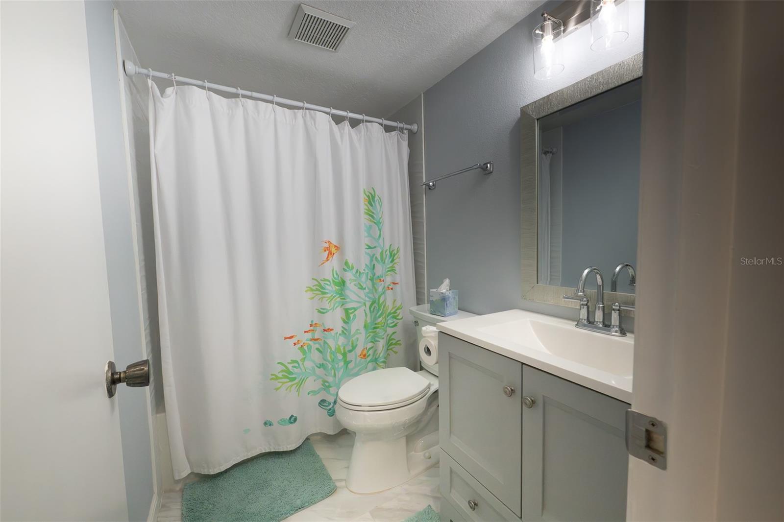 Guest Bath