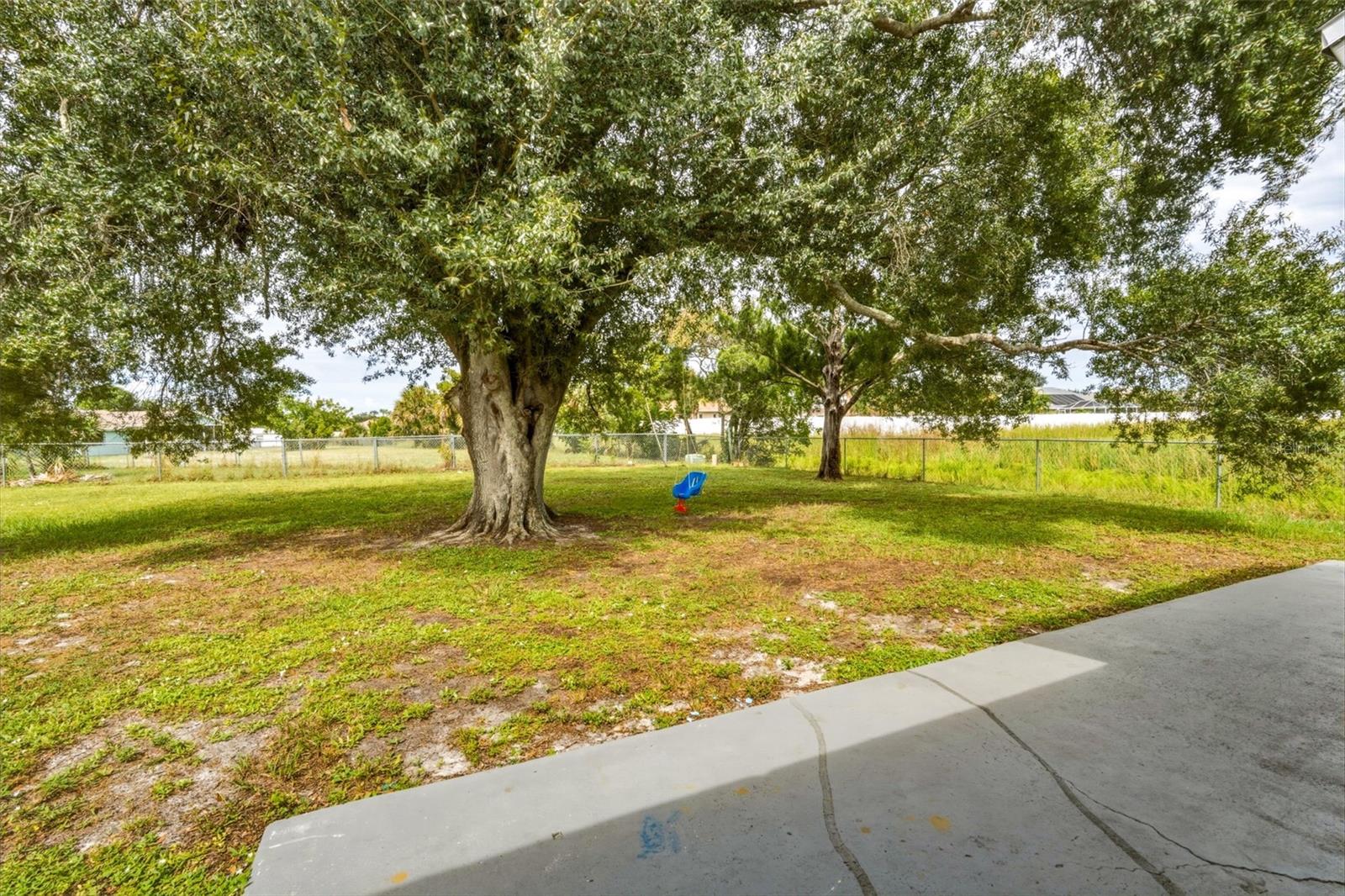 Patio/Backyard