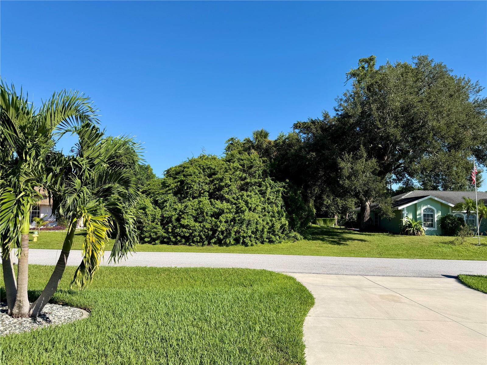 View from front door