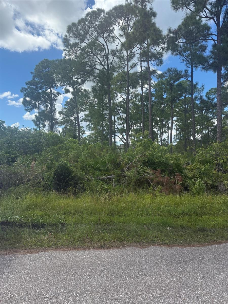 1213 BLALOCK STREET, Port Charlotte, FL 33980