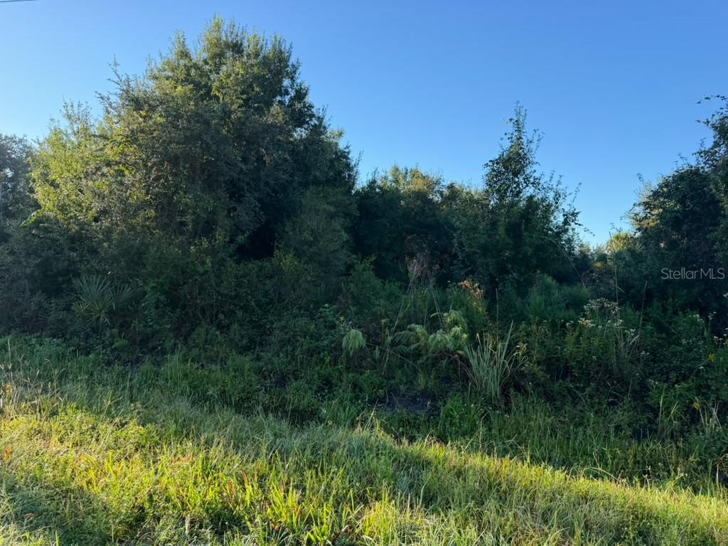 17660 NW 292ND STREET, Okeechobee, FL 34972