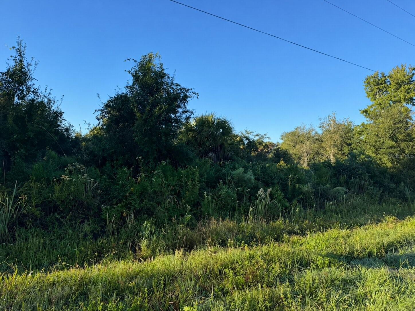 17660 NW 292ND STREET, Okeechobee, FL 34972